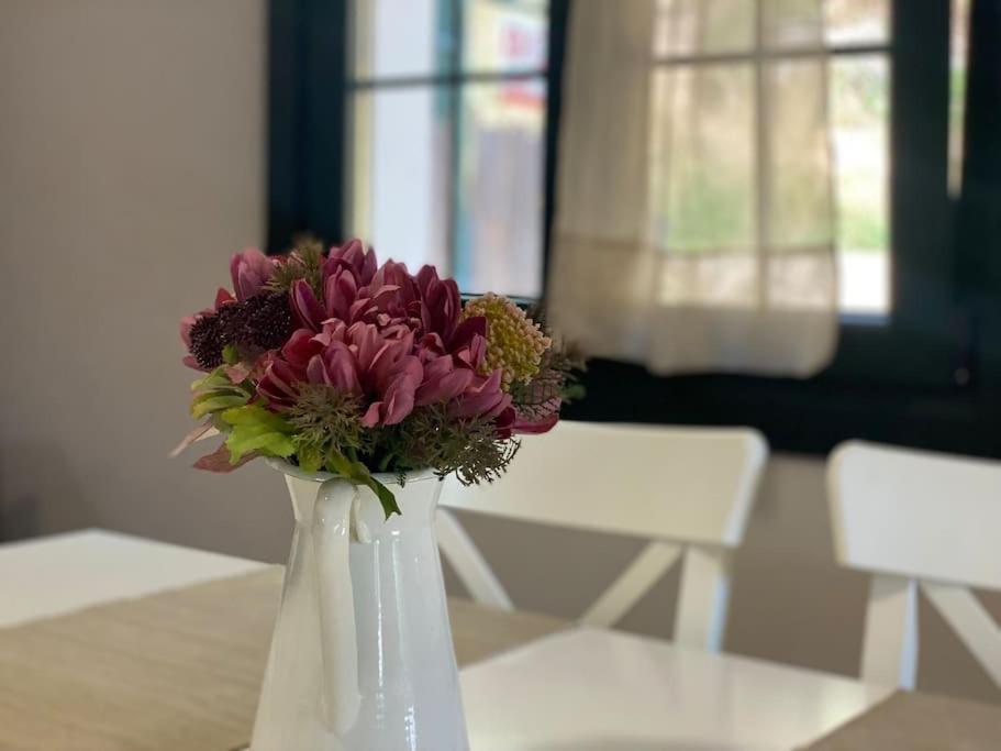 Sámano Casa En Montealegre Reformada Y Acogedora מראה חיצוני תמונה